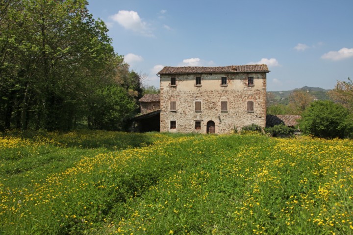 Novafeltria, la campagna photos de PH. Paritani