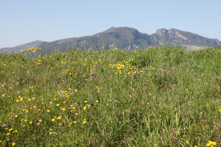 Novafeltria, la campagna photos de PH. Paritani