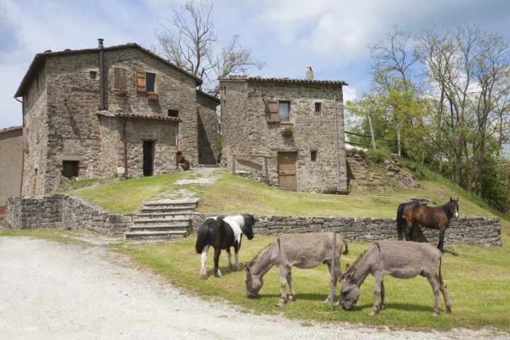Sant'Agata Feltria, holiday farm photo by PH. Paritani