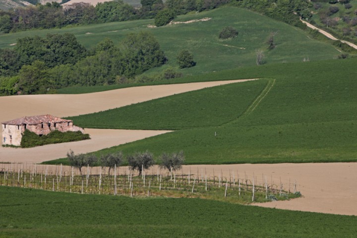 Campagna, Coriano Foto(s) von PH. Paritani