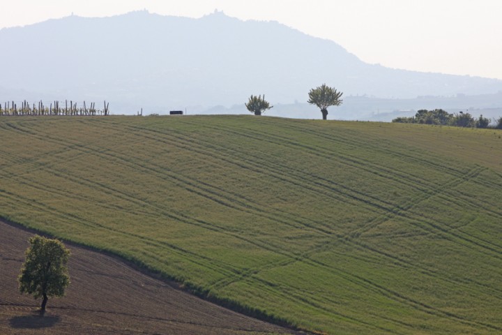 Countryside, Coriano photo by PH. Paritani