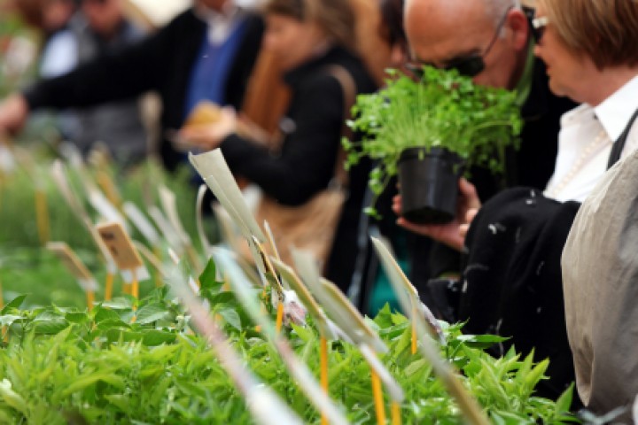 Spring festival, Saludecio photo by PH. Paritani