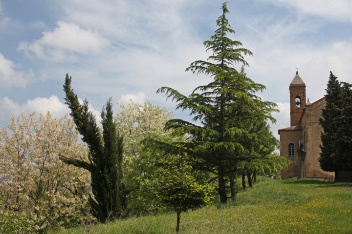 Serbadone di Montefiore Conca foto di PH. Paritani