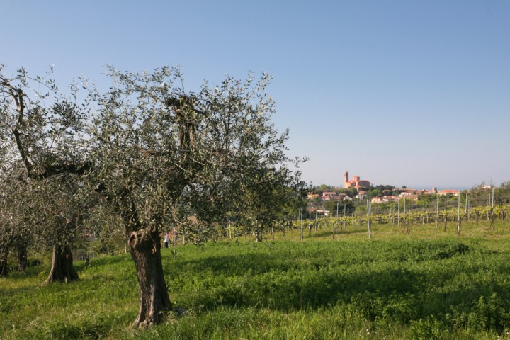 Countryside, Coriano photo by PH. Paritani