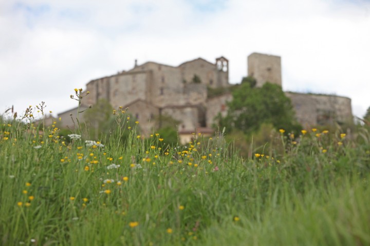 Sant'Agata Feltria, borgo di Petrella Guidi Foto(s) von PH. Paritani