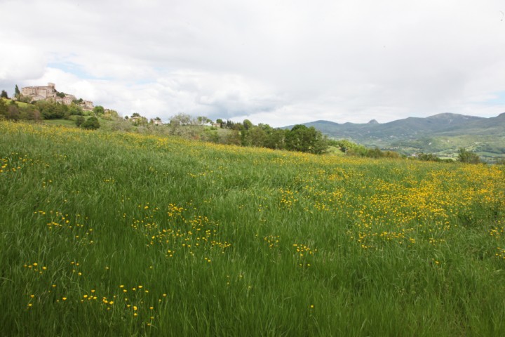 Sant'Agata Feltria, borgo di Petrella Guidi Foto(s) von PH. Paritani