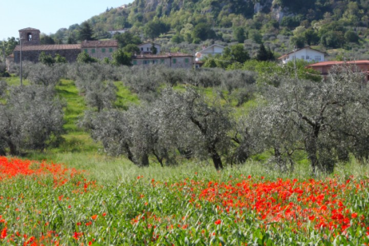 Verucchio photo by PH. Paritani