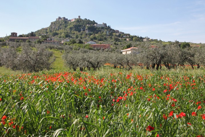 Verucchio photo by PH. Paritani