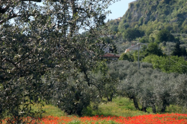 Verucchio photos de PH. Paritani