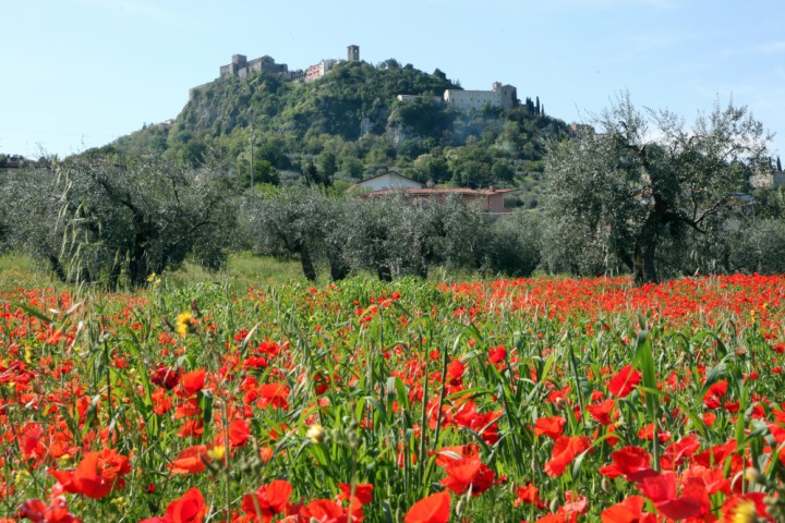 Verucchio photo by PH. Paritani