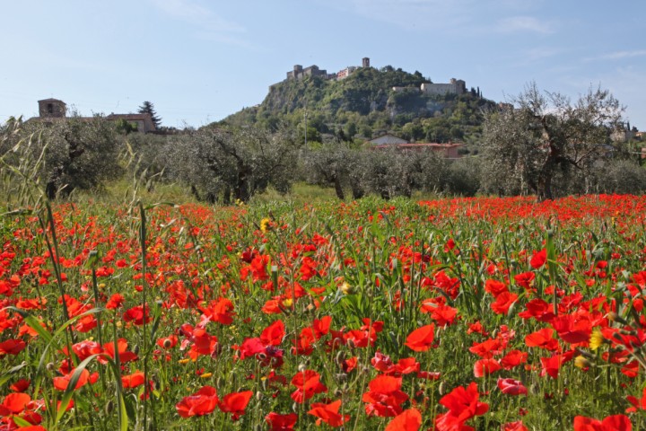 Verucchio photo by PH. Paritani