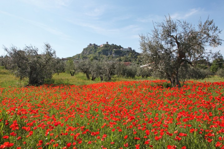 Verucchio photo by PH. Paritani