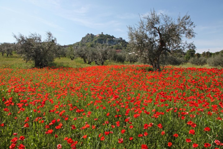 Verucchio photo by PH. Paritani