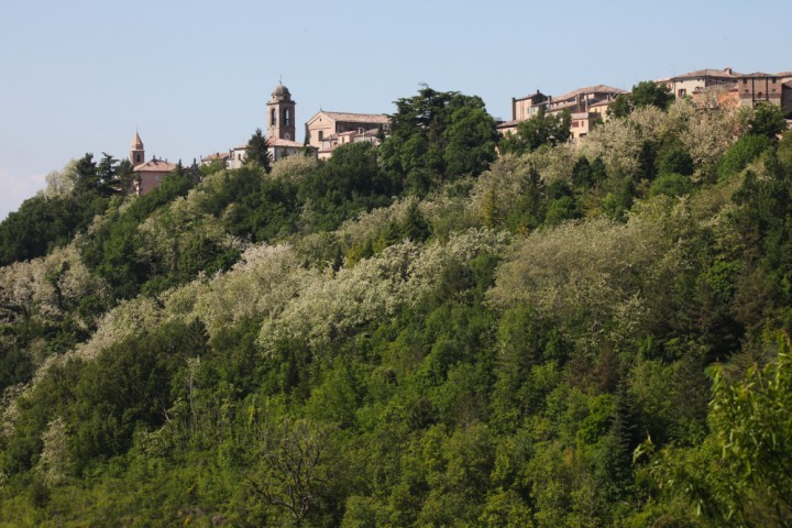 Campagna, Mondaino foto di PH. Paritani