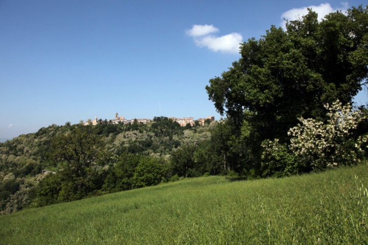 Campagna, Mondaino foto di PH. Paritani