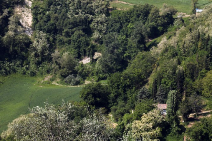Panorama campagna, Mondaino foto di PH. Paritani
