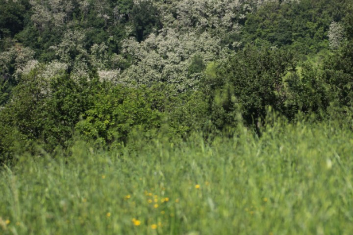 Panorama campagna, Mondaino foto di PH. Paritani
