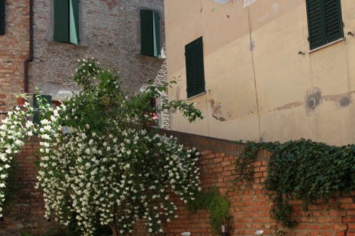 Murals, Saludecio photo by PH. Paritani