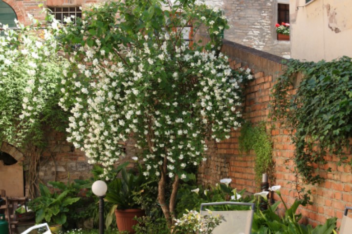 Saludecio photo by PH. Paritani