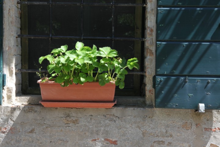 Saludecio photo by PH. Paritani