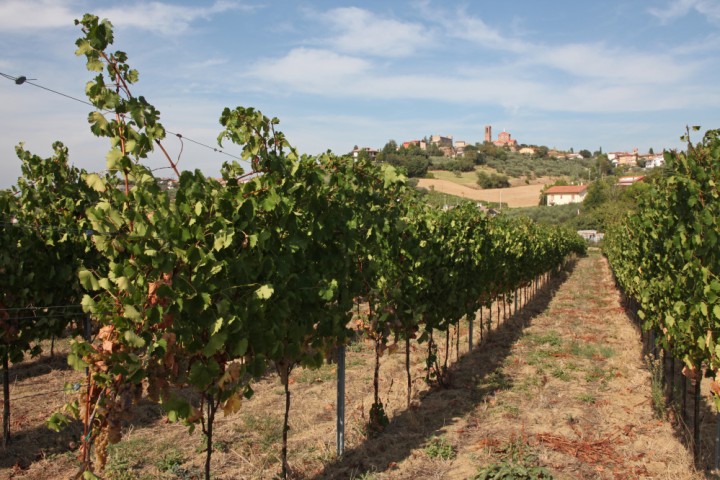 Countryside, Coriano photo by PH. Paritani