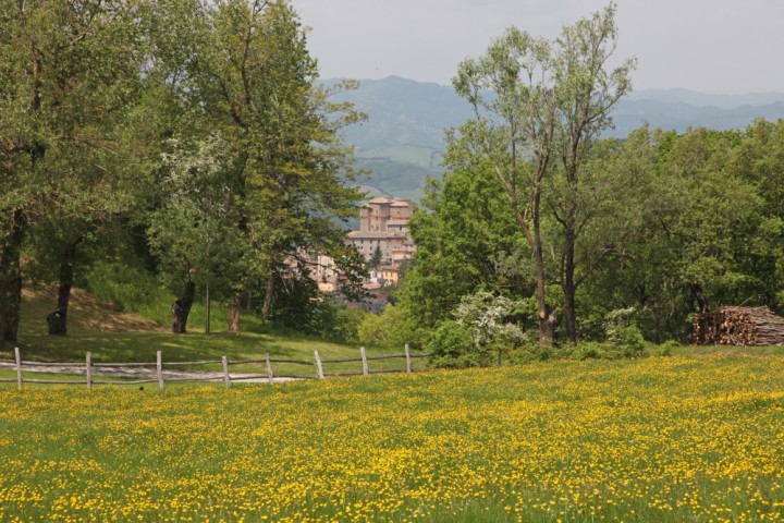 Sant'Agata Feltria, panorama foto di PH. Paritani