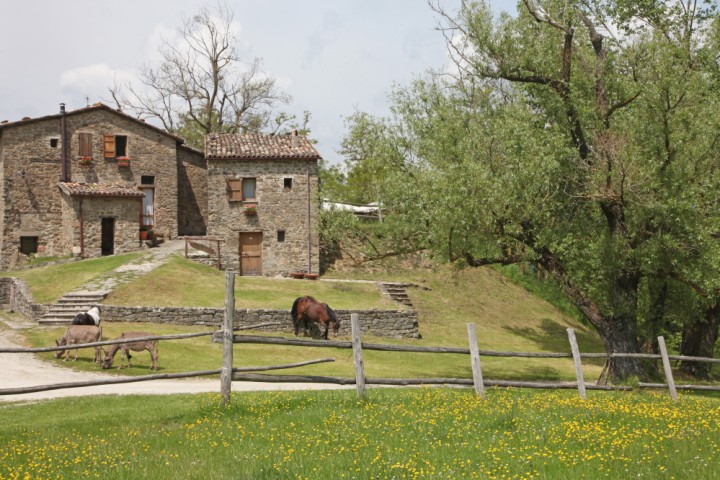 Sant'Agata Feltria, agriturismo photo by PH. Paritani