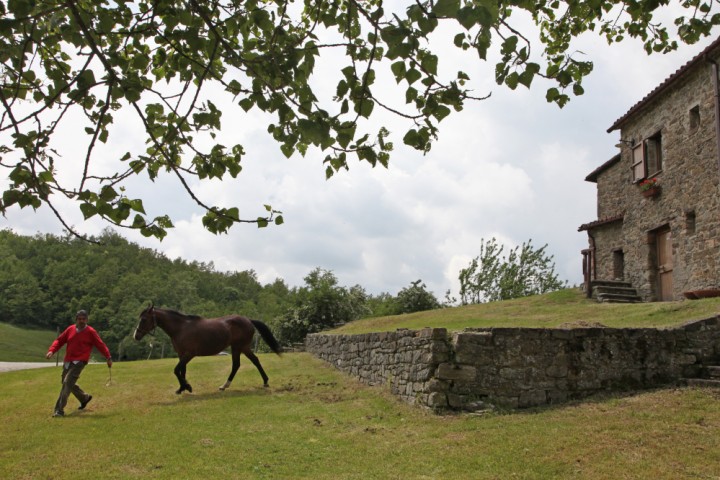 Sant'Agata Feltria, agriturismo Foto(s) von PH. Paritani