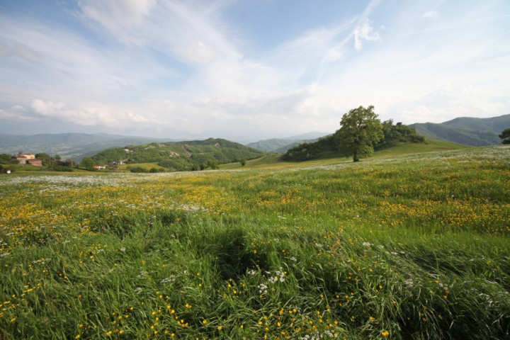 Sant'Agata Feltria, panorama della valle foto di PH. Paritani