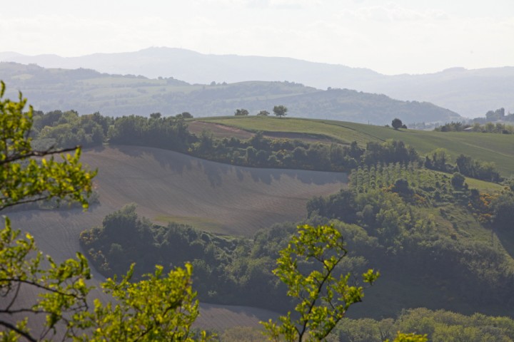 Vista sulla Valconca, Saludecio foto di PH. Paritani