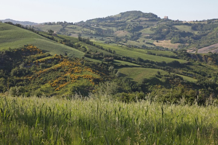Hills, Mondaino photo by PH. Paritani