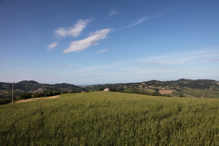 Colline, Mondaino foto di PH. Paritani