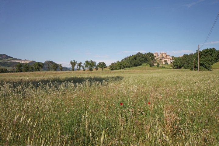 Novafeltria, the countryside photo by PH. Paritani