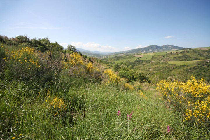 Novafeltria, la Valmarecchia Foto(s) von PH. Paritani