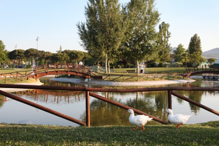 Park, Morciano di Romagna photo by PH. Paritani