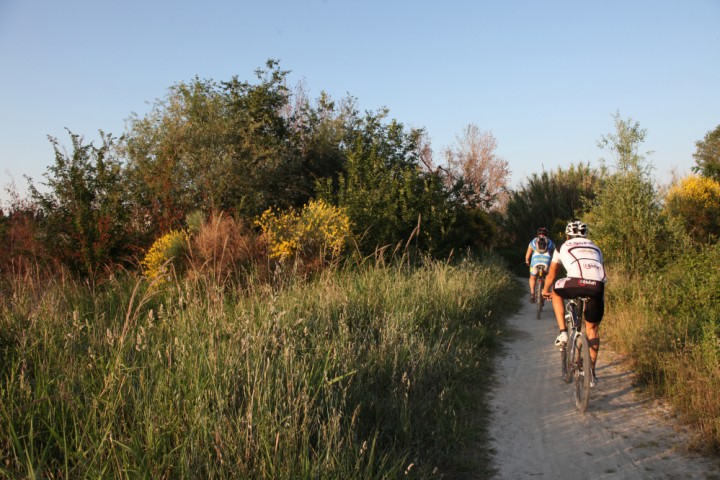 Cyclists, Morciano di Romagna photo by PH. Paritani