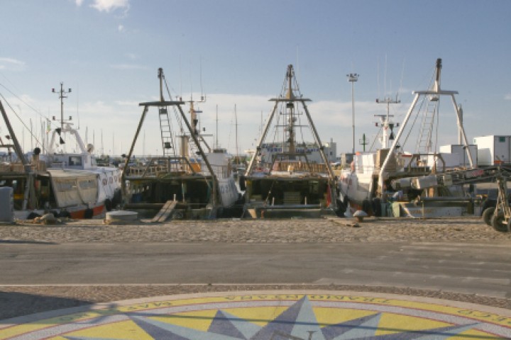 Porto di Cattolica photos de PH. Paritani