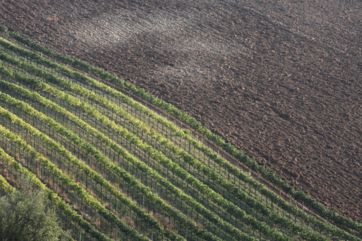 Campagna, Coriano photos de PH. Paritani