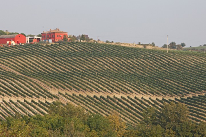 Campagna, Coriano Foto(s) von PH. Paritani