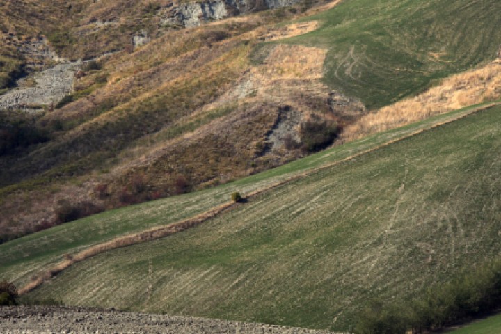 Campagna, Coriano foto di PH. Paritani