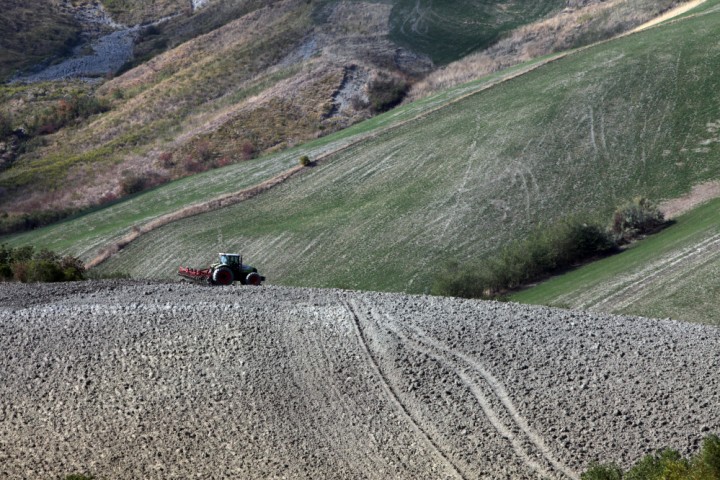 Campagna, Coriano foto di PH. Paritani