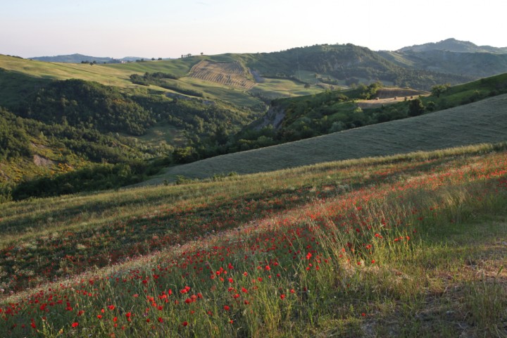 Talamello, la vallata foto di PH. Paritani