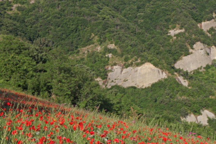 Talamello, la campagna foto di PH. Paritani