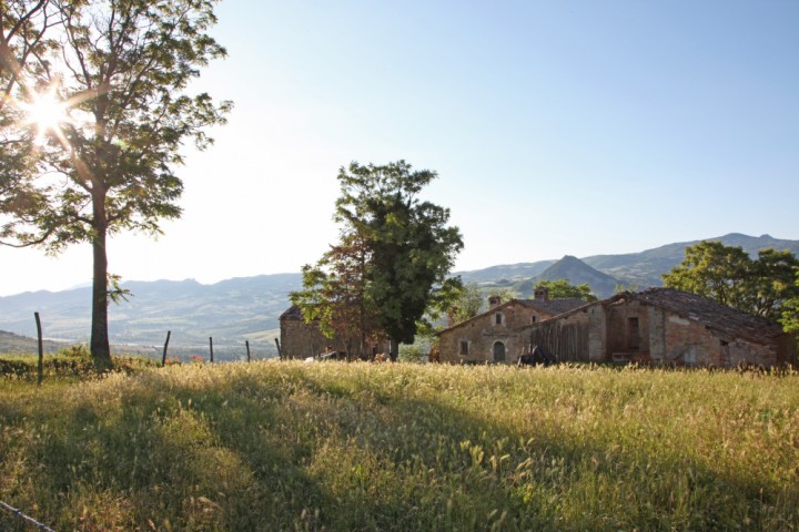 Talamello, la campagna foto di PH. Paritani