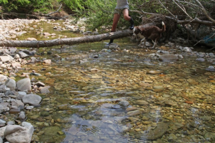 il fiume Marano, Coriano foto di PH. Paritani