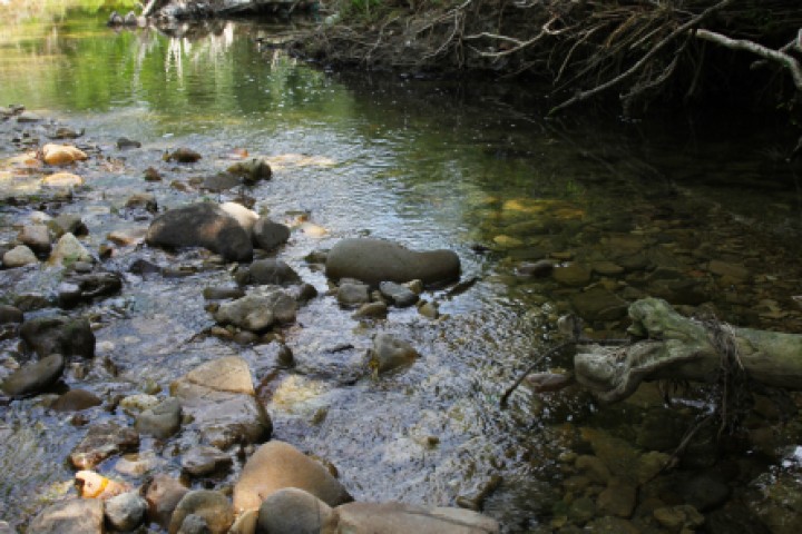 il fiume Marano, Coriano foto di PH. Paritani