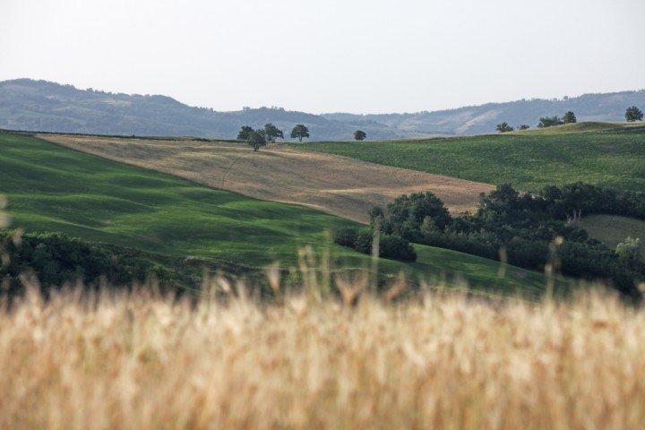 Talamello, la campagna foto di PH. Paritani