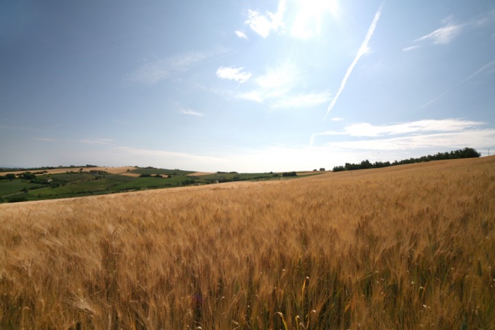 Countryside, San Giovanni in Marignano photo by PH. Paritani