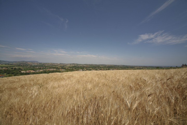 Countryside, San Giovanni in Marignano photo by PH. Paritani