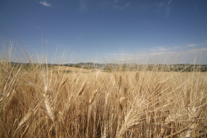 Countryside, San Giovanni in Marignano photo by PH. Paritani